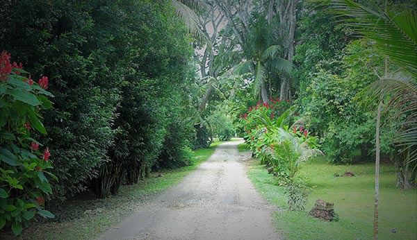 drive way at Crystal Paradise